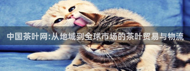 摩登4地7O667