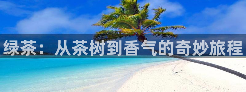 摩登7冠