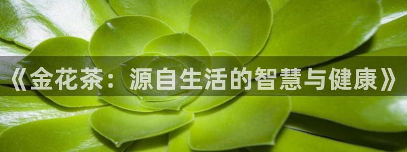 摩登平台局7O777