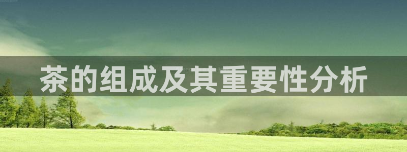 摩登7直属