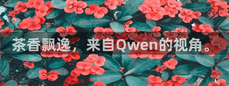 7牌摩登