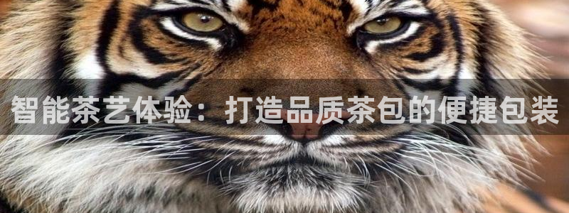 摩登3吕7O667