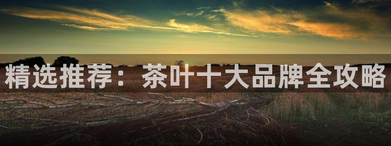 摩登7官网的详细介绍