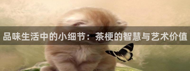 摩登3吕7O667