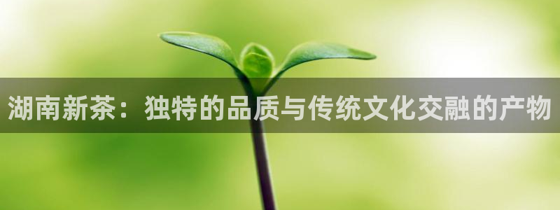 摩登7娱乐