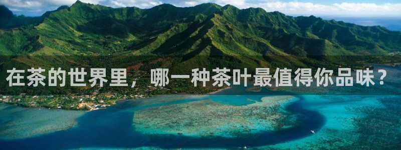 摩登7平台