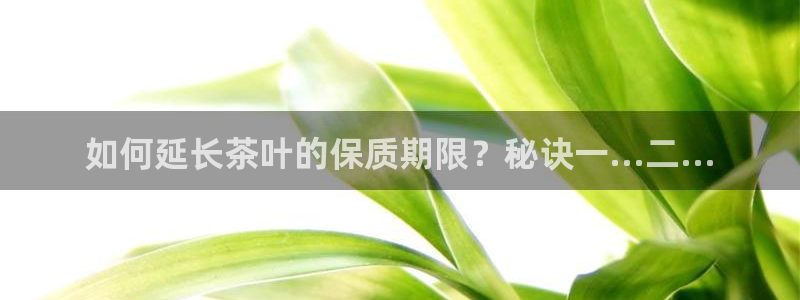 摩登4左7O667