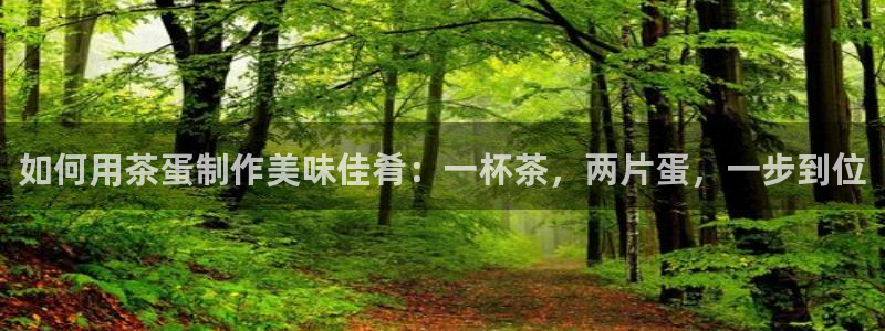 摩登3地7O667