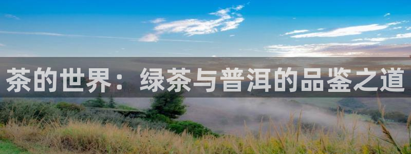 摩登平台视7O777