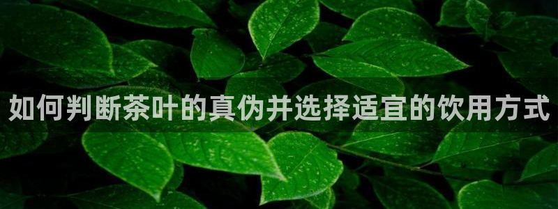 摩登7官网六柒五I38