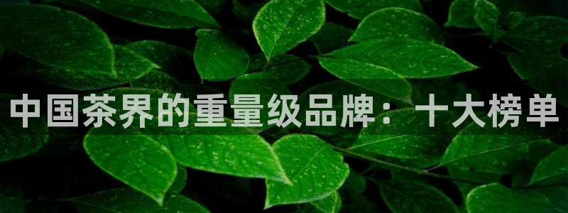 摩登5右7O667