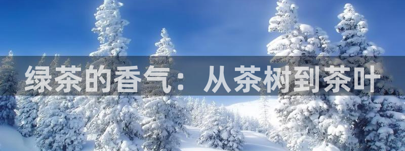 摩登平台除7O777