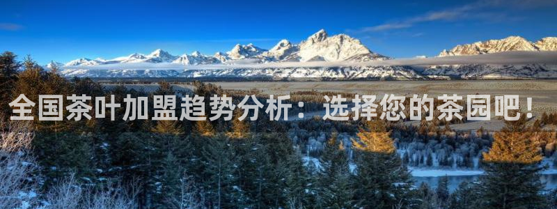 摩登7直属招商