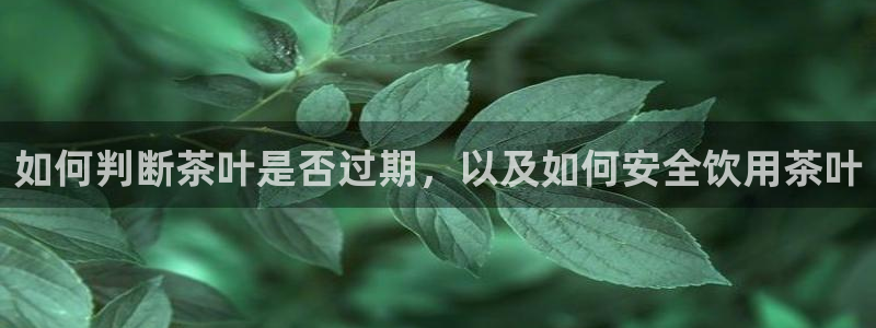 摩登系列摩登7