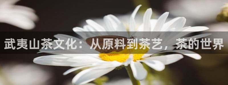 M摩登7