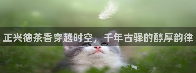 摩登7安全吗