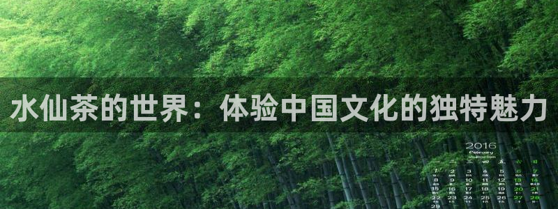 摩登7娱乐