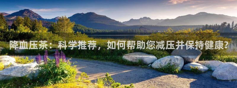 摩登7主管亲333OO