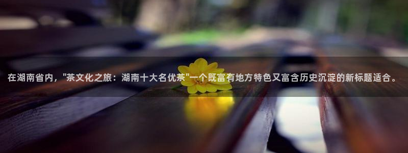 摩登7口碑