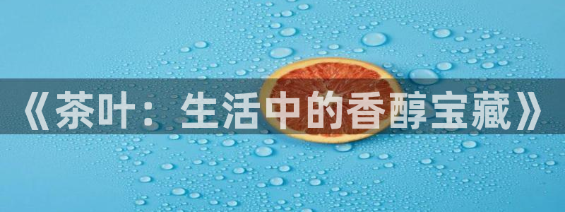 国际版摩登世界7