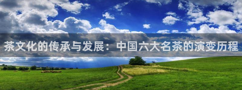 摩登7代理382223