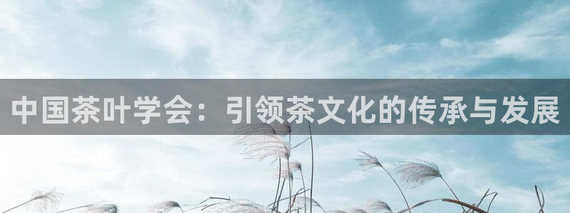 摩登7平台代理