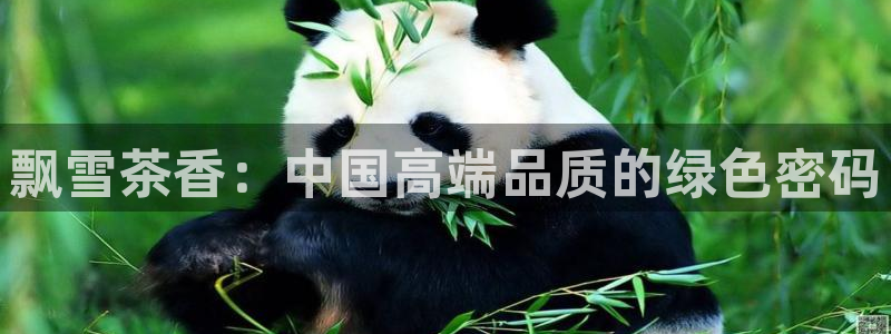 摩登3褚7O667