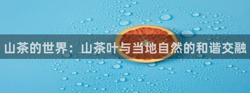 摩登4天7O667