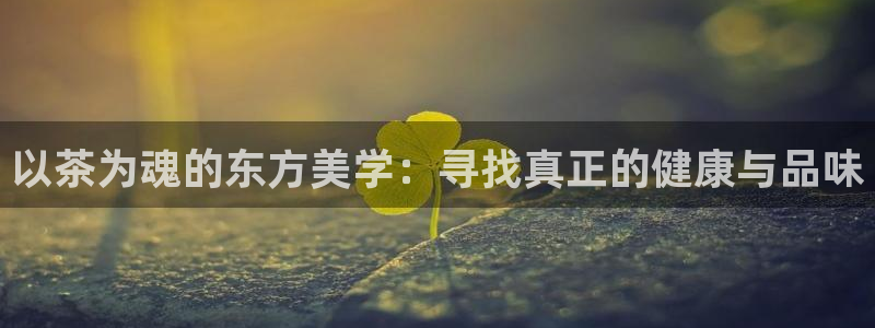 摩登7平台