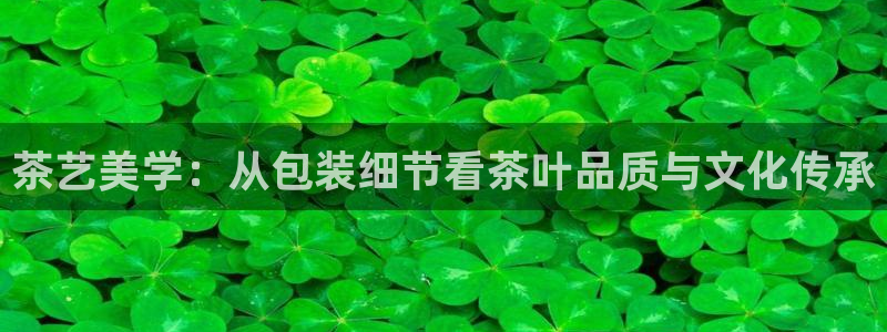 摩登5张7O667