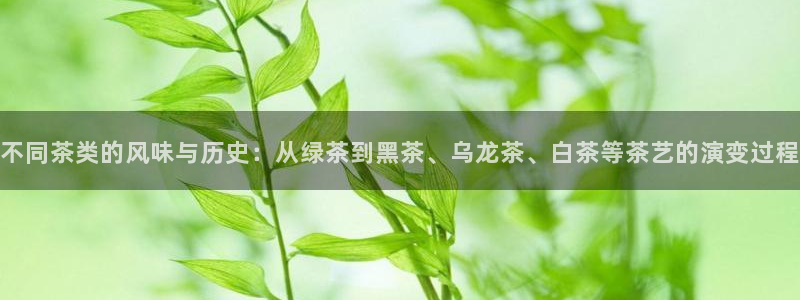 摩登7岁