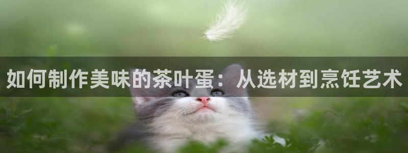 摩登7上