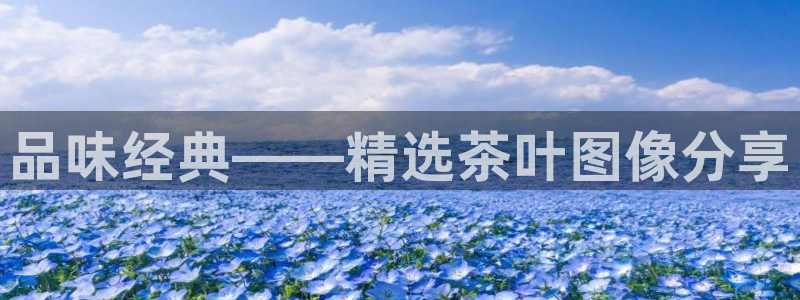 摩登3冯7O667