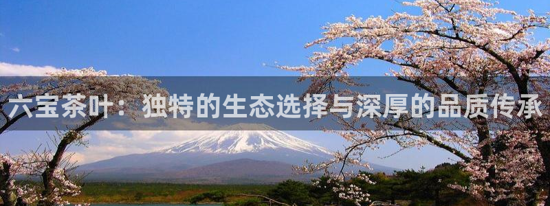 摩登7天7O667