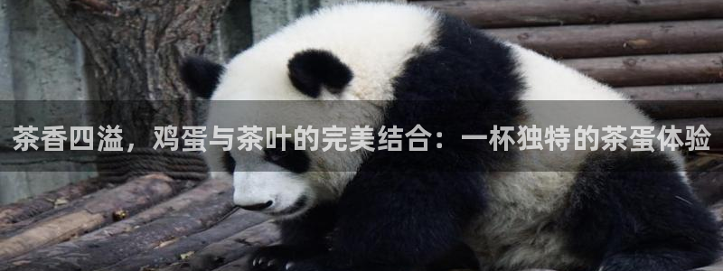 摩登7经3299O7