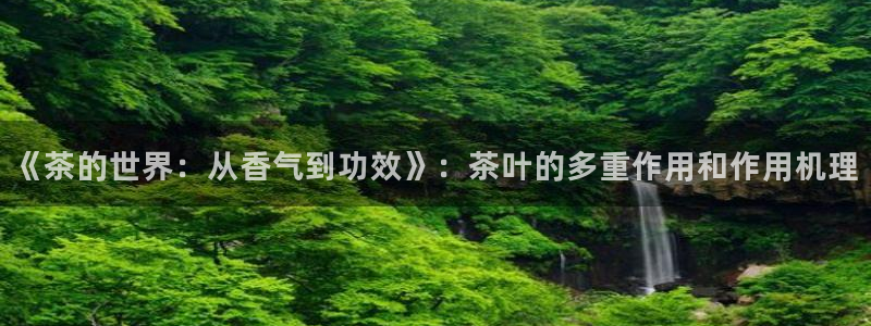 摩登7直属招商