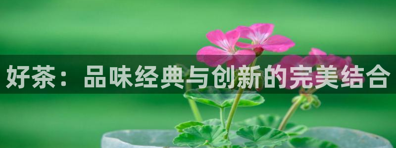 摩登7彩票平台登陆总代