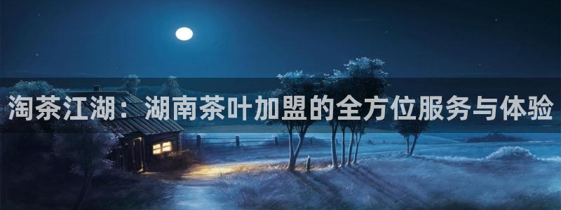 摩登7代理