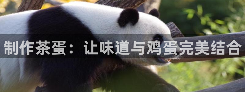 摩登7方3299O7