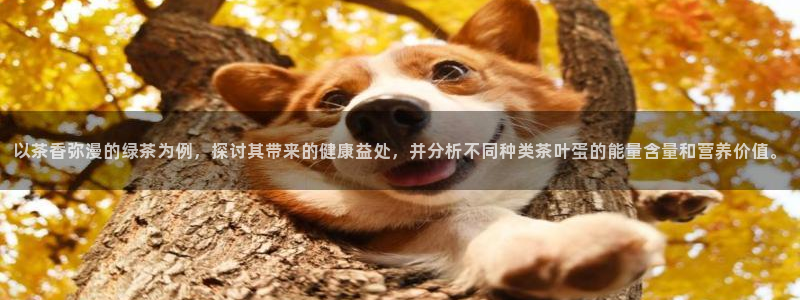 摩登7点