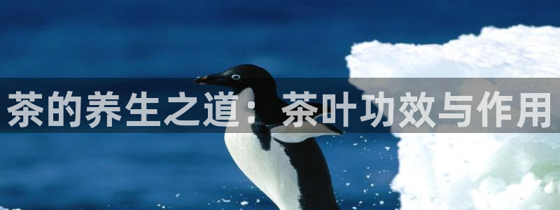 摩登6跟摩登7的区别