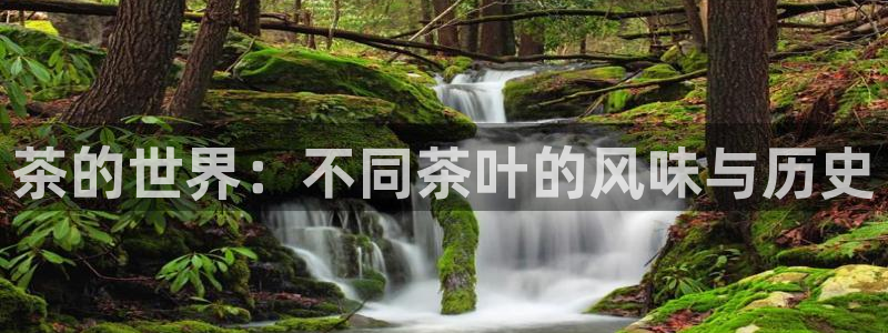 摩登6冯这7O667
