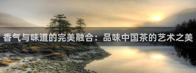 摩登7高管