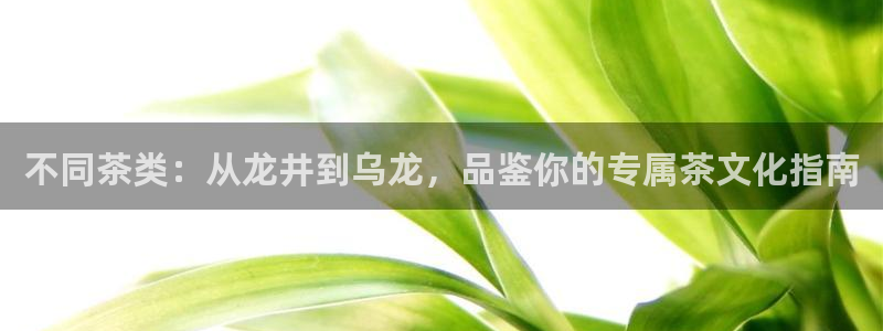 摩登6吕7O667