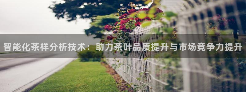 摩登口碑7