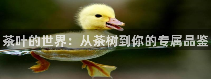 摩登4天7O667