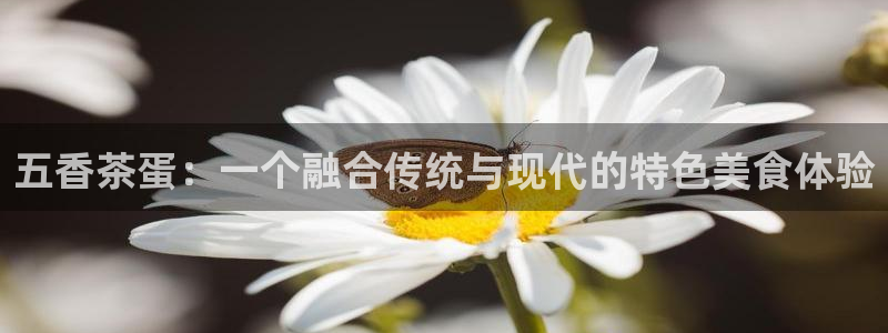摩登6天7O667