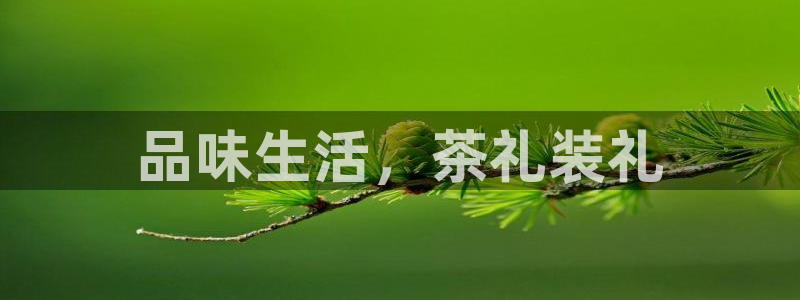 摩登7月7O667