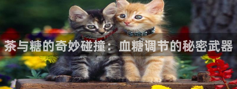 摩登7安全吗