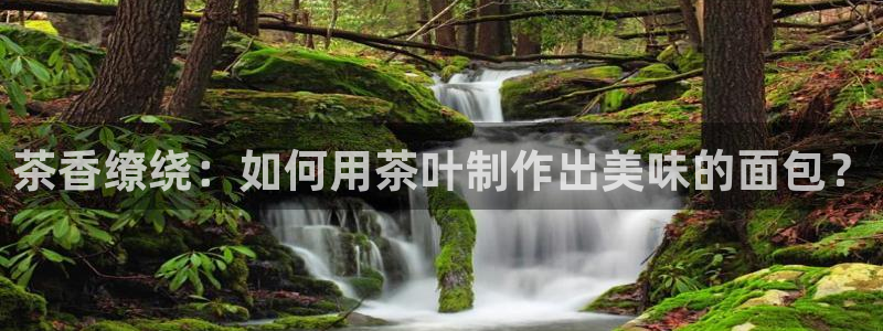 摩登3天7O667